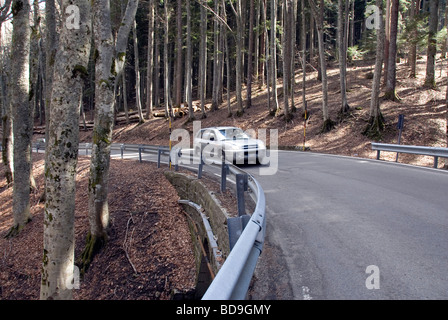 Car guida attraverso l'Abetone parco nazionale in primavera Foto Stock