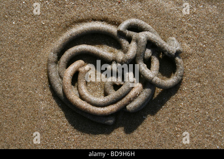 Spirale Lugworm Arenicola marina Cast a Crosby Beach, Merseyside, Regno Unito Foto Stock