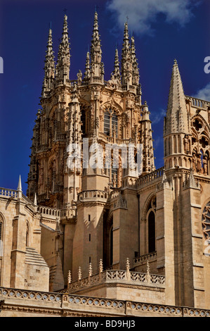 Spagna, Burgos: dettaglio della cattedrale gotica di Santa Maria Foto Stock