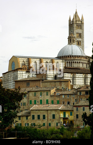 Vista posteriore del Duomo di Siena (cattedrale) Foto Stock