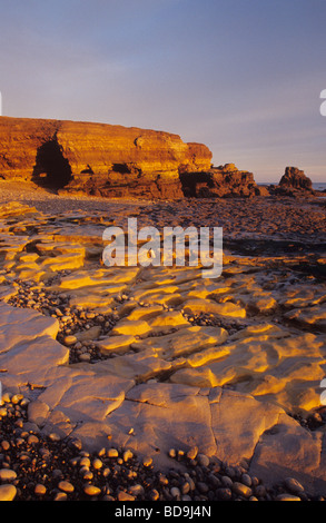 Erosi magnesiaco calcare sulla costa a Wherry su South Tyneside Foto Stock