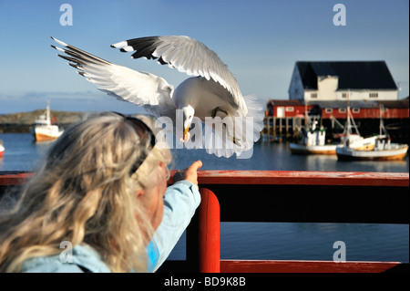 Donna alimentando un gabbiano con i gamberi in una giornata di sole Foto Stock