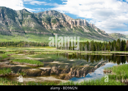 Riflessioni in un lago lungo Chief Joseph Scenic Byway nel Wyoming Foto Stock