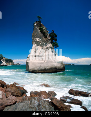 Nuova Zelanda Coromandel grotta cattedrale rock Foto Stock