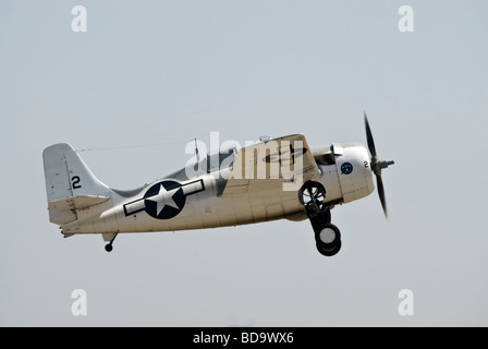 Un Grumman F4F Wildcat dopo che esso ha appena sollevato della pista di un air show.(gear down) Foto Stock