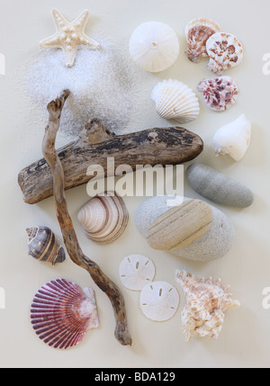 Spiaggia voci ancora la vita Foto Stock