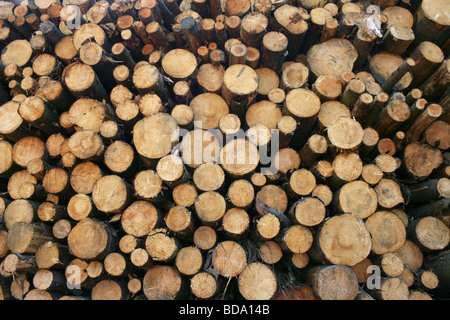 Pile di trito di registri nel distretto del Lago Cumbria Inghilterra England Foto Stock