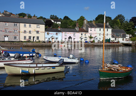 GV di Dittisham, Devon Foto Stock