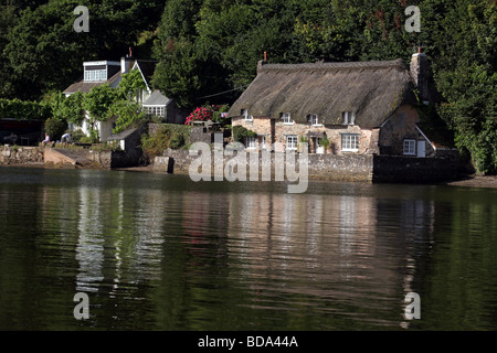 GV di Dittisham, Devon Foto Stock