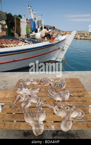 Polpi di essiccazione al sole sul porto di Naoussa Paros, Foto Stock
