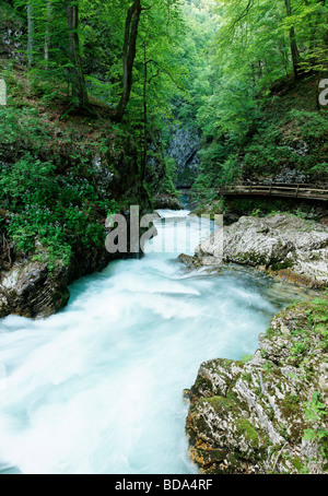 Gola Gorge vicino a Bled, Gorenjska, Slovenia. Foto Stock