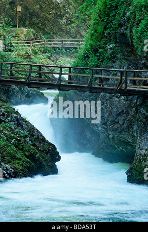 Gola Gorge vicino a Bled, Gorenjska, Slovenia. Foto Stock