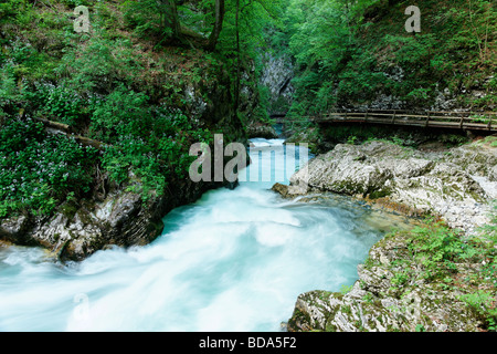 Gola Gorge vicino a Bled, Gorenjska, Slovenia. Foto Stock