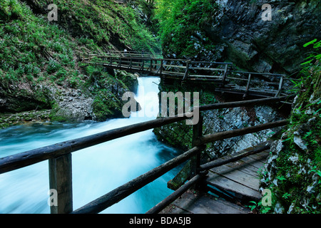 Gola Gorge vicino a Bled, Gorenjska, Slovenia. Foto Stock