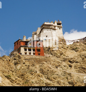 Fort e gompa su una collina, vittoria Fort, Namgyal Tsemo Gompa, Leh, Ladakh, Jammu e Kashmir India Foto Stock