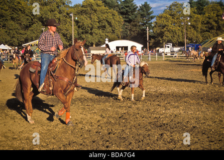 Piloti nel giudicare la corona di County Fair rodeo Foto Stock