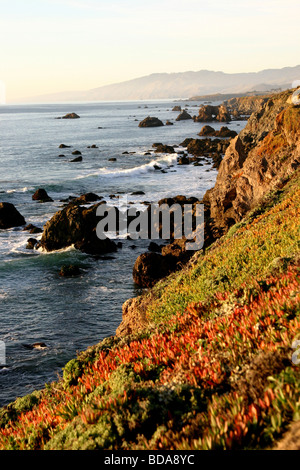 Costa di Bodega Bay, CA Foto Stock