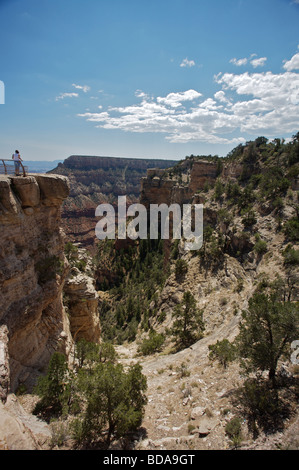 Grand Canyon Arizona. La luce del mattino Foto Stock