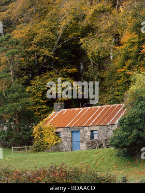Old Byre accanto al bosco di latifoglie su Beinn Lora, Benderloch, Argyll, Scotland, Regno Unito. Foto Stock
