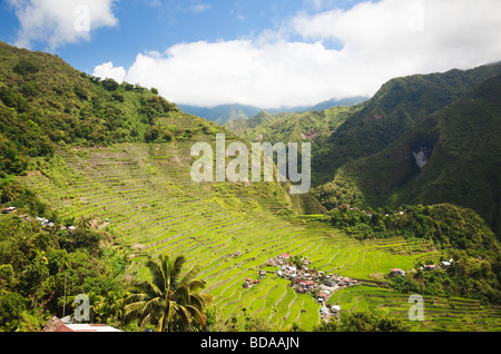 Terrazze di riso e villaggio Batad Ifugao provincia nord di Luzon nelle Filippine Foto Stock