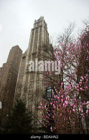L'art deco ispirato Woolworth Building di fronte al Municipio Park, la parte inferiore di Manhattan, New York