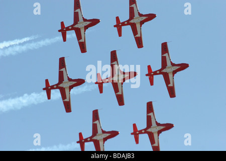 Famoso di Canadas aerobatic team, il Snowbirds eseguire a Abbotsford International Air Show 2006 Foto Stock