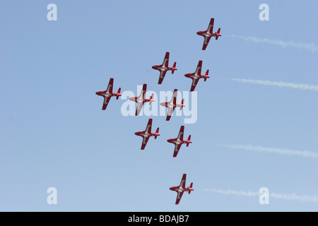 Famoso di Canadas aerobatic team, il Snowbirds in formazione a Abbotsford International Air Show 2006 Foto Stock