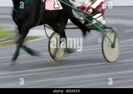 Cavalli e fantini partecipare nel cablaggio racing durante un giorno di pioggia a Monticello, New York. Foto Stock