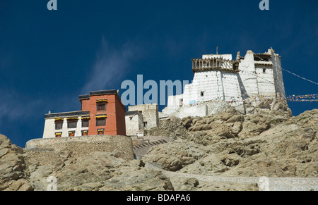 Fort e gompa su una collina, vittoria Fort, Namgyal Tsemo Gompa, Leh, Ladakh, Jammu e Kashmir India Foto Stock