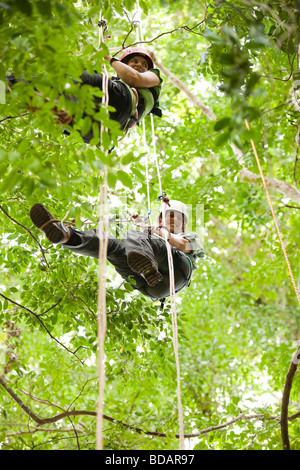 Indonesia Sulawesi operazione Lambusango Wallacea riserva forestale di accesso tettoia studente alta nella struttura ad albero Foto Stock