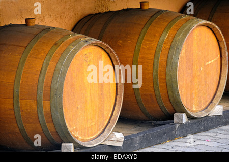 Vino bianco di barili, Eguisheim, Haut Rhin, Alsazia, Francia Foto Stock