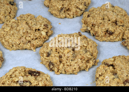 Farina di avena raisin cookie su una pergamena carta da forno Foto Stock