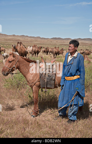 Camel herder con il suo cavallo e un allevamento di due humped cammelli, North Central Mongolia Foto Stock