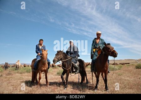 Cavalieri mongoli con un branco di due humped cammelli, North Central Mongolia Foto Stock