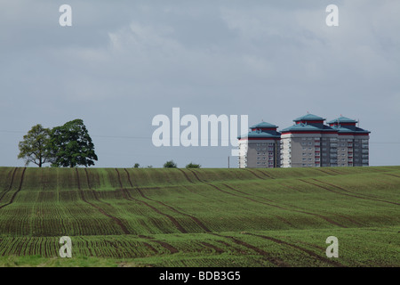 Blocchi di torri di alloggi sociali accanto a un campo agricolo, Gallowhill, Paisley, Renfrewsire, Scozia, REGNO UNITO Foto Stock