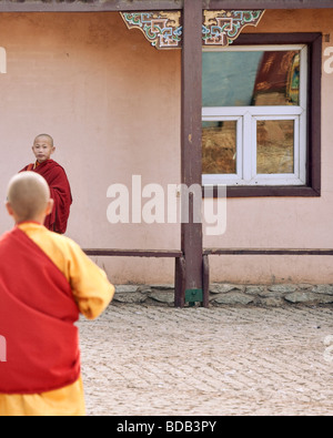 Giovani monaci in cortile con finestra riflessioni, Monastero Gandan, ad Ulaan Baatar, Mongolia Foto Stock