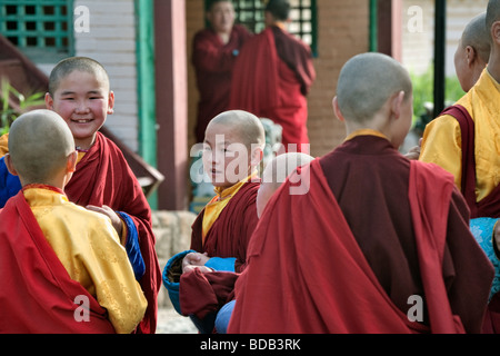 Mongolo giovani monaci buddisti al monastero Gandan, ad Ulaan Baatar, Mongolia Foto Stock