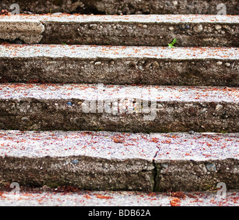 Scala coperta in caduta foglie di autunno Foto Stock