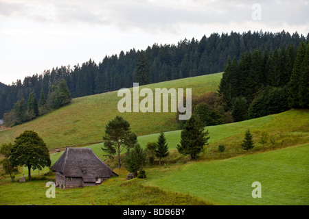 Paesaggio di Breg river valley - fonte di Delta del Danubio, Furtwangen, Schwarzwald, Germania. Foto Stock