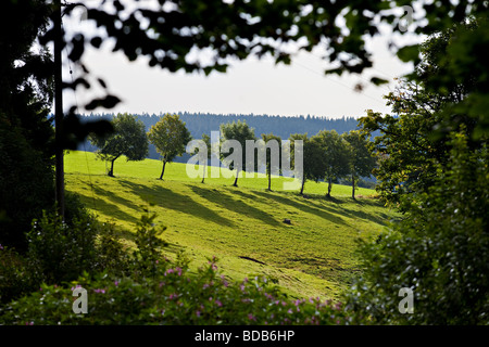 Paesaggio di Breg river valley - fonte di Delta del Danubio, Furtwangen, Schwarzwald, Germania. Foto Stock
