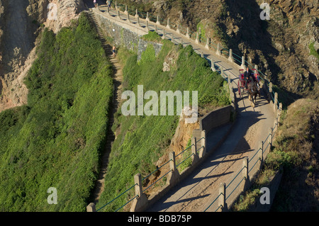 Carrozza a cavallo attraversando lo stretto istmo di La Coupée Isola di Sark Isole del Canale Foto Stock
