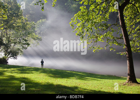 Pescatore a mosca con la nebbia mattutina e raggi di sole, sul fiume di Smith in Virginia, Stati Uniti d'America Foto Stock