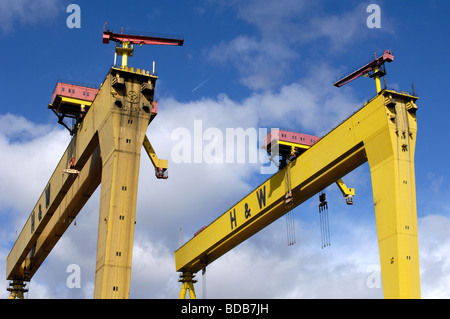 Harland e Wolff gru di cantiere, Sansone e Golia, Belfast, Irlanda del Nord, Regno Unito. Foto Stock