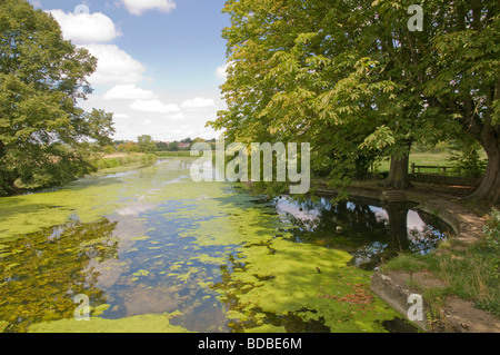 Il vecchio luogo di nuoto vittoriano zona di balneazione nel fiume Stour sul comune di Sudbury Suffolk in Inghilterra Foto Stock