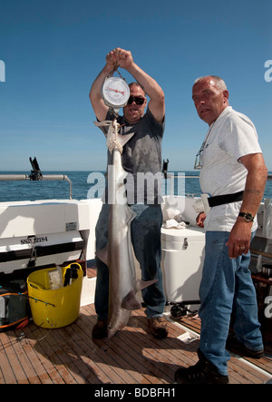 La Pesca con Lenza in mare. Tope pesca.la pesatura del pesce. Foto Stock