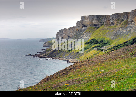 Gad Cliff,Dorset Foto Stock