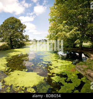 Il vecchio luogo di nuoto; Vittoriano zona di balneazione nel fiume Stour sul comune di Sudbury, Suffolk, Inghilterra Foto Stock