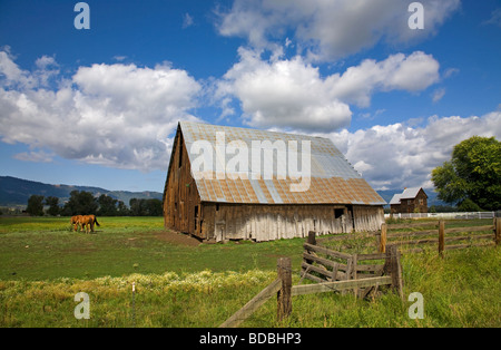 Un vecchio fienile e recinzione di legno su un ranch vicino a metà strada Oregon sulle pendici delle montagne Wallowa in Oregon orientale Foto Stock