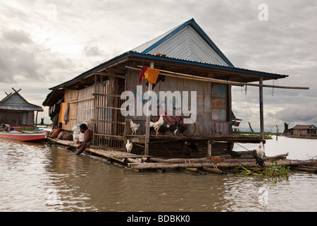 Indonesia Sulawesi, Sengkang, Danaue Tempe Lago, Salotangah, floating villaggio di pescatori di casa Foto Stock