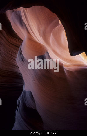 Abbassare Antelope Canyon, uno dei premier Slot Canyon nel sud-ovest degli Stati Uniti. Riserva Navajo, Pagina, AZ Foto Stock
